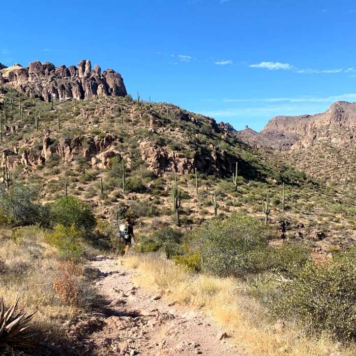 Near Bluff Spring Loop
