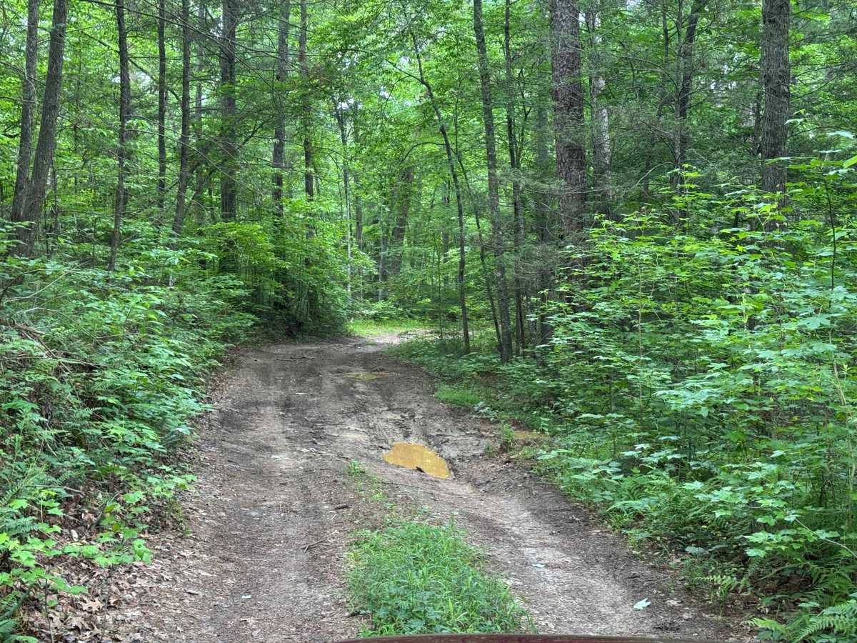 Butler Ridge - FS 1061 photo 2
