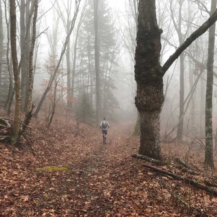 Running down MST Near High Line Loop