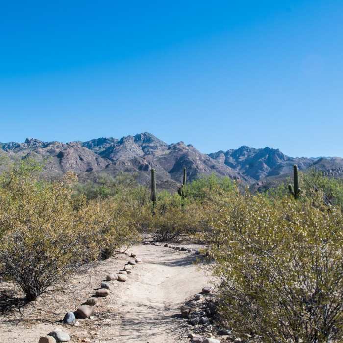 Near Bajada Nature Trail