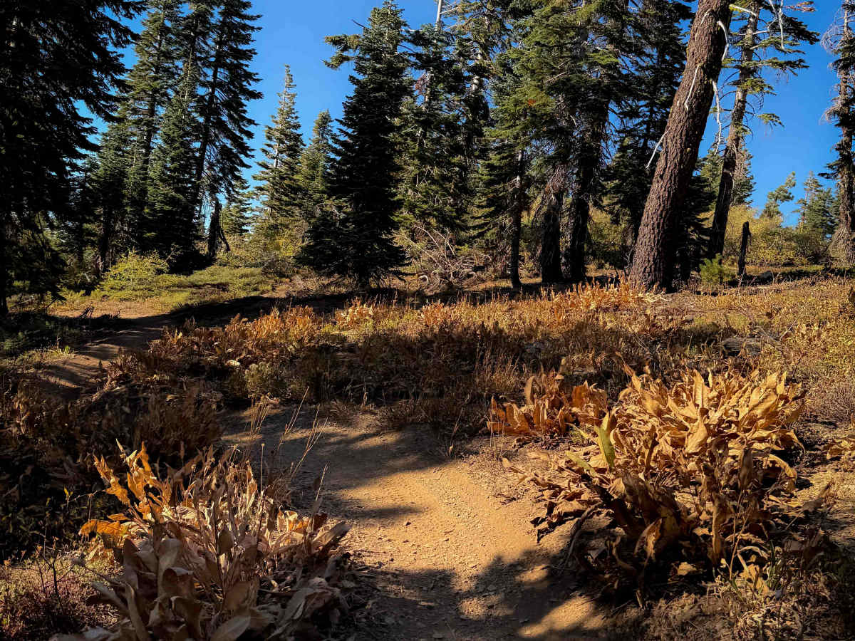 Pack Saddle Loop  photo 3
