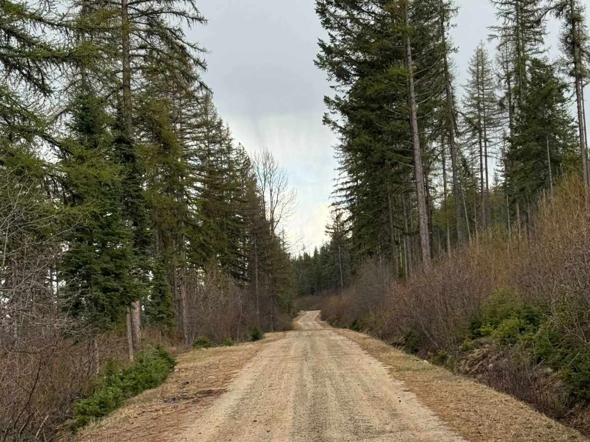 Taylor Ridge Trail photo 4