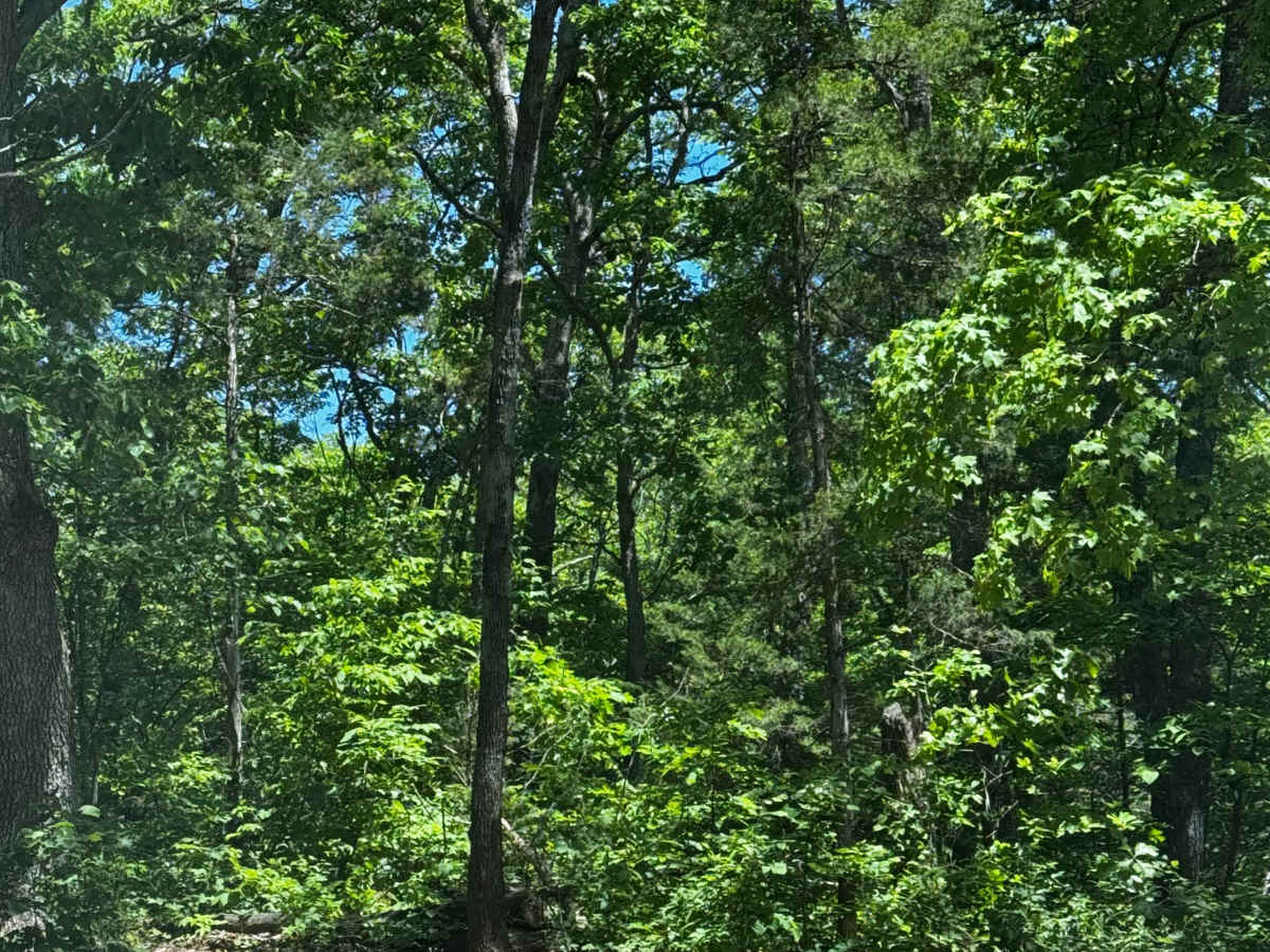 Perimeter Trail photo 4