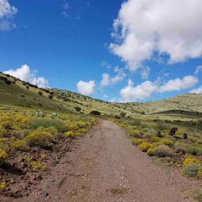 Near Guthrie Peak