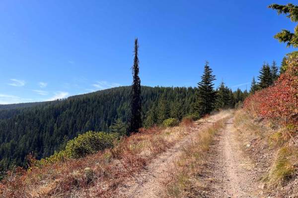 Huckleberry Mountain