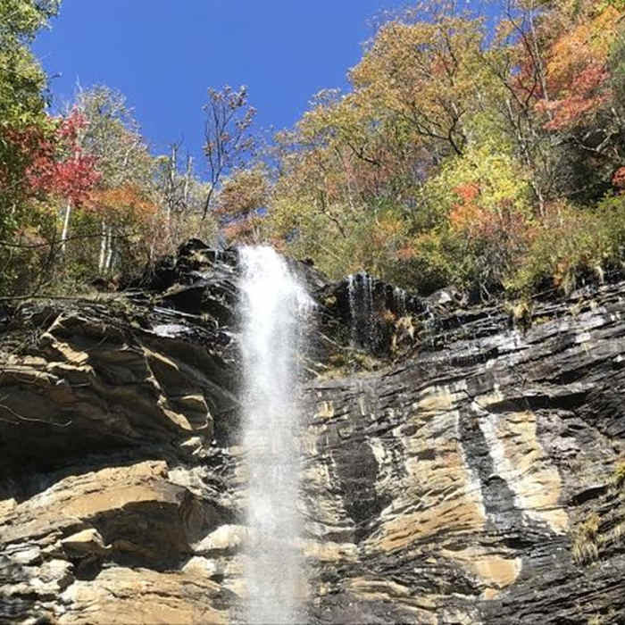 Sometimes the Rainbow is more than just falls, it can also be from some of the fall leaves, either way, probably why it is called Rainbow Falls. Near Jones Gap - Caesars Head Loop