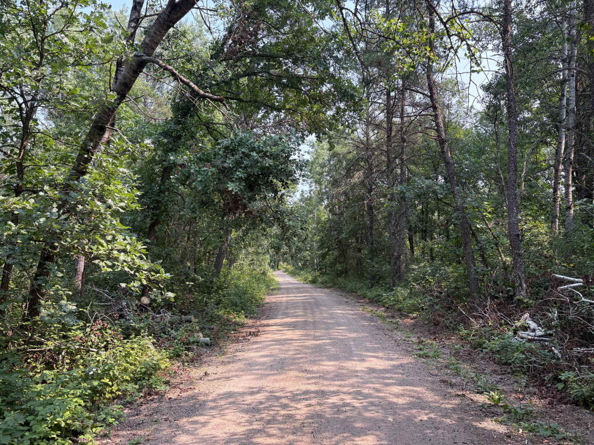 North Two Inlets Forest Road trail photo