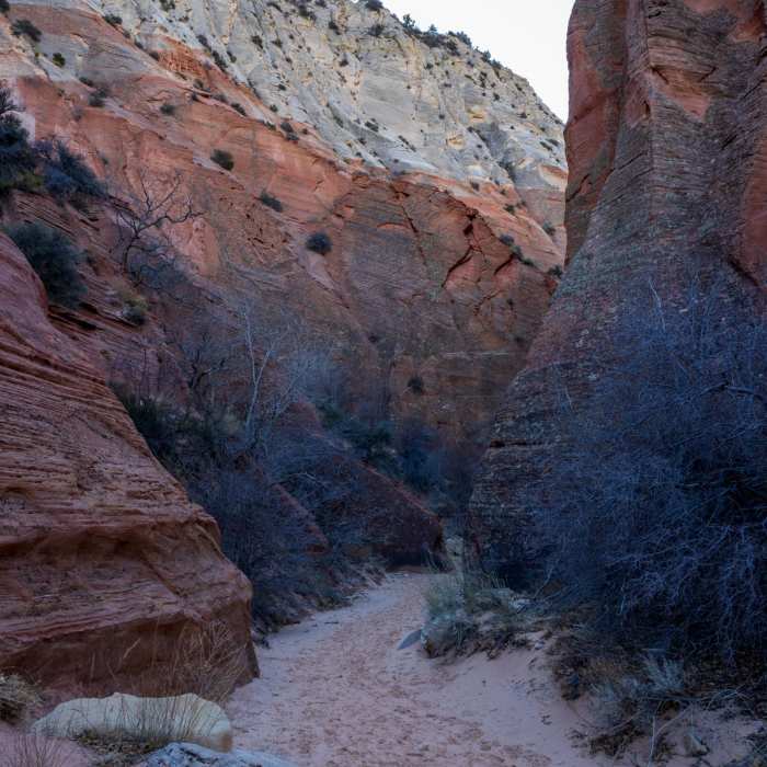 Near Red Hollow Slot Canyon