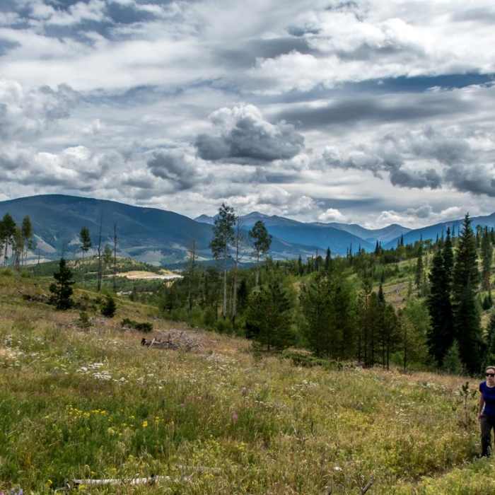Near Lily Pad Lake via Salt Lick Trailhead