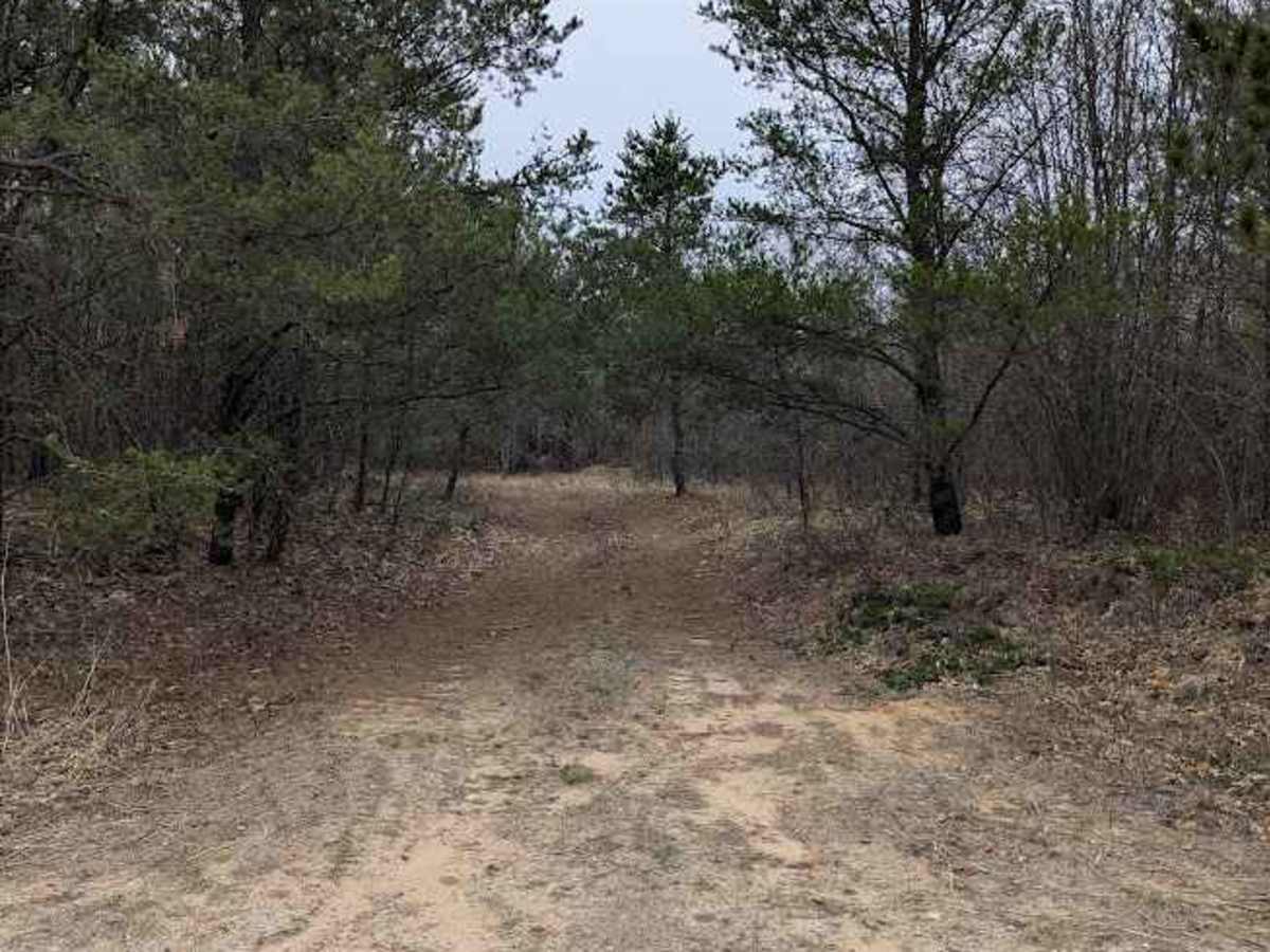 Pinstripe Alley trail photo
