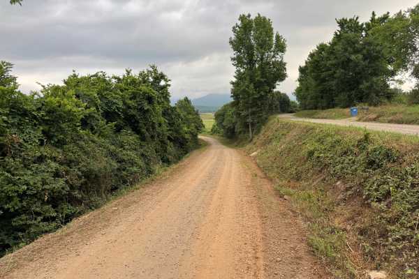 County Road 3261