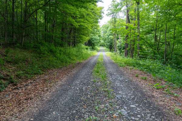 Truck Trail 13