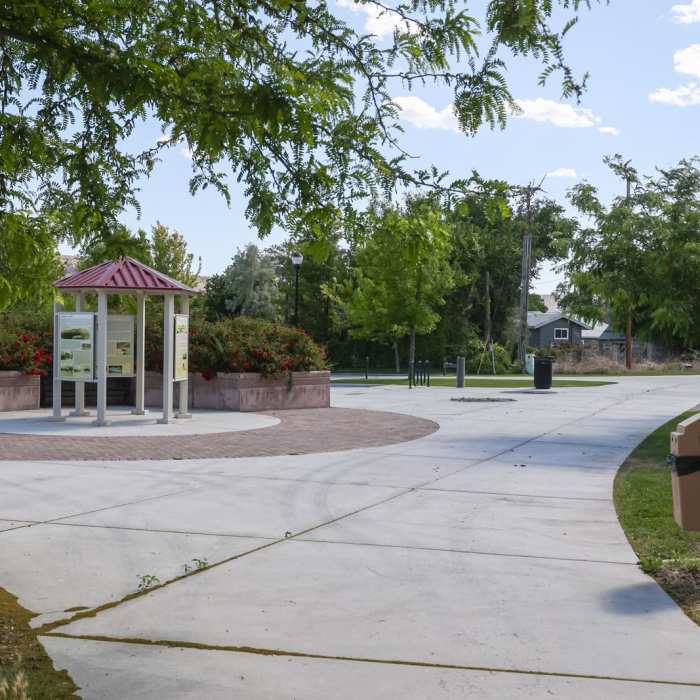 Near Meadow Valley Wash Trail Near Meadow Valley Wash Trail