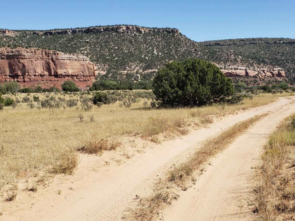 Mills Canyon Trail photo 4