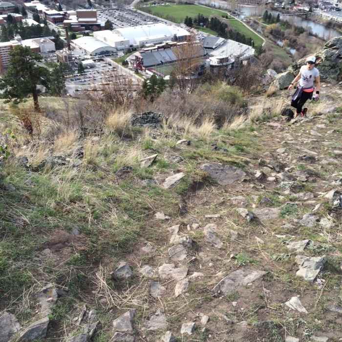 Near Mt. Sentinel Crest