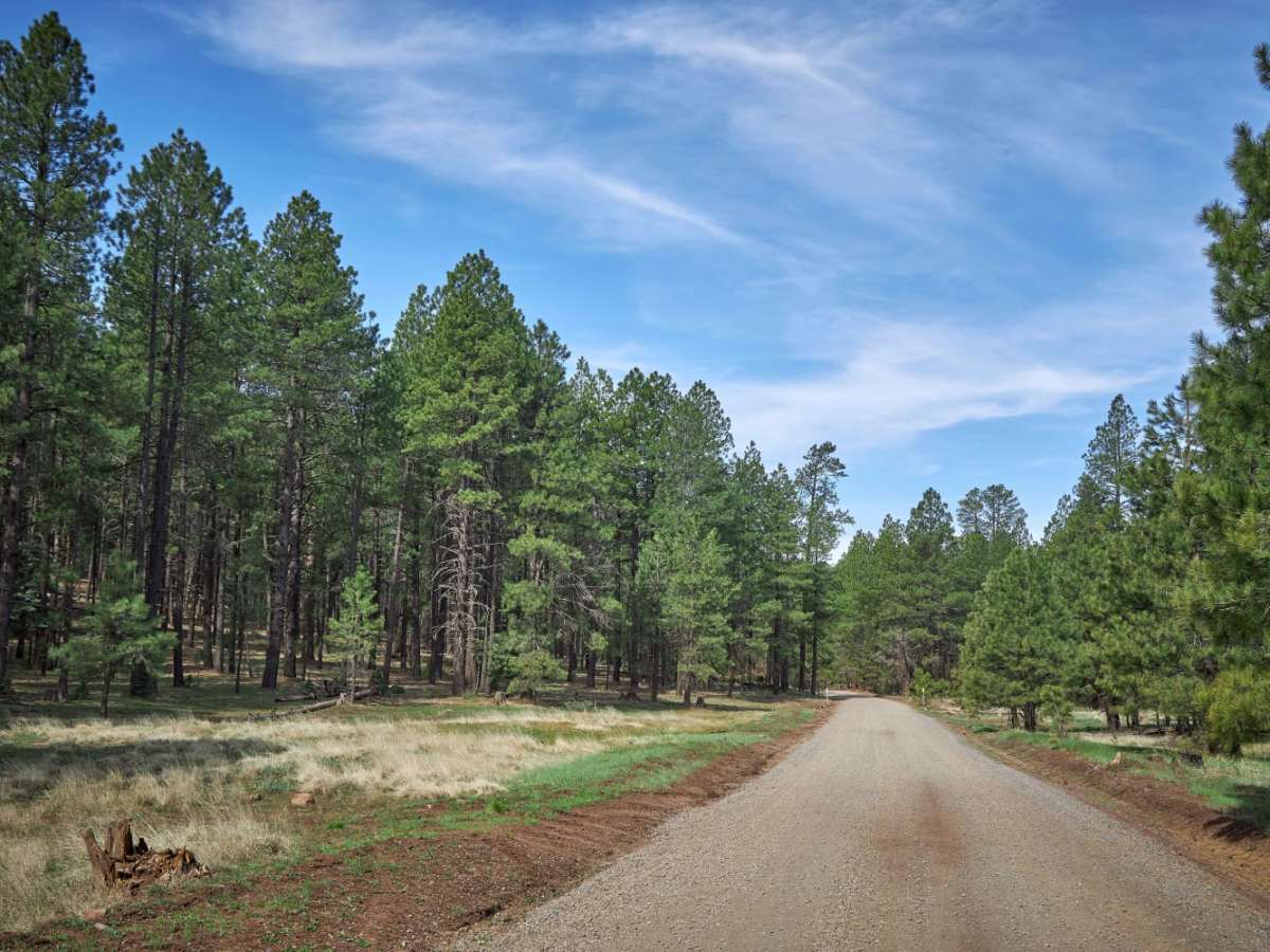 Casner Park photo 5