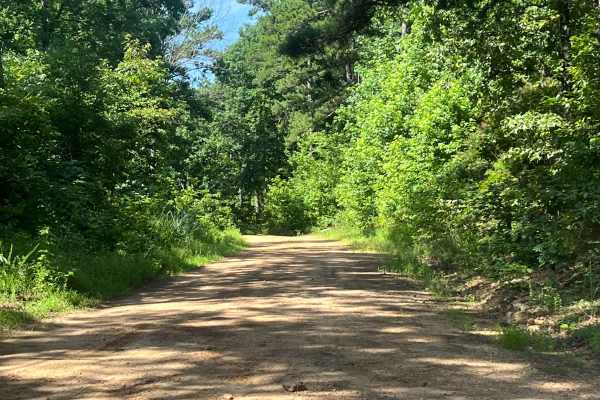 Liberty Springs Road