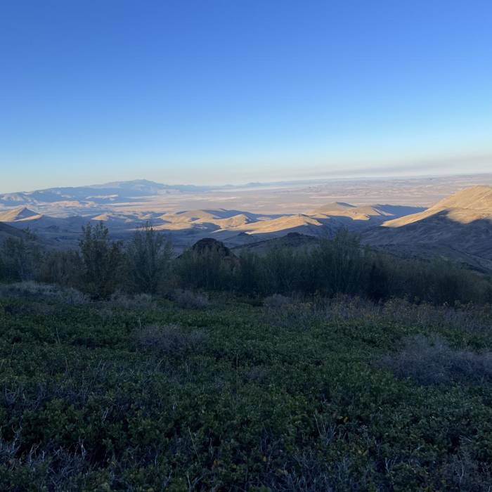 Near Ten Cent Meadow