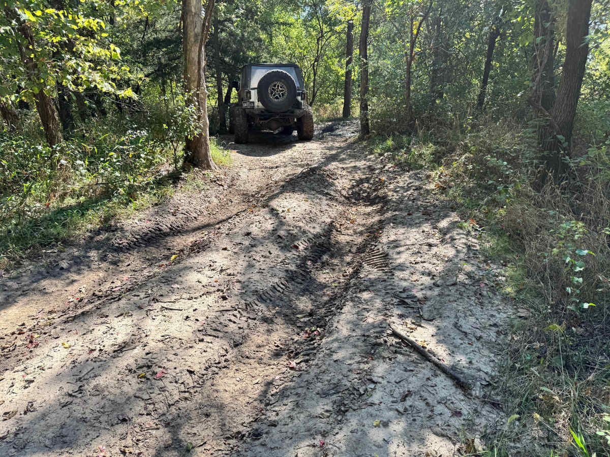 Willys Whoops photo 5