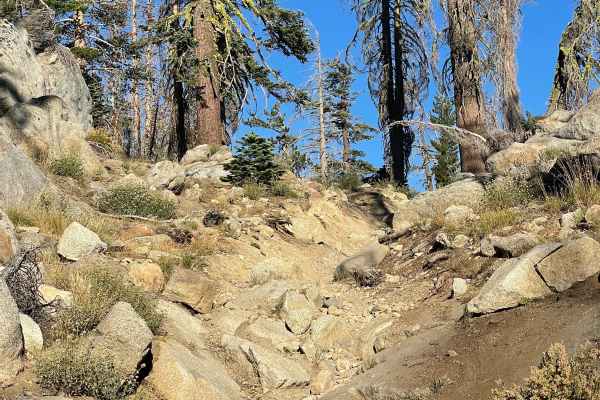 Buck Pasture Trail (East)