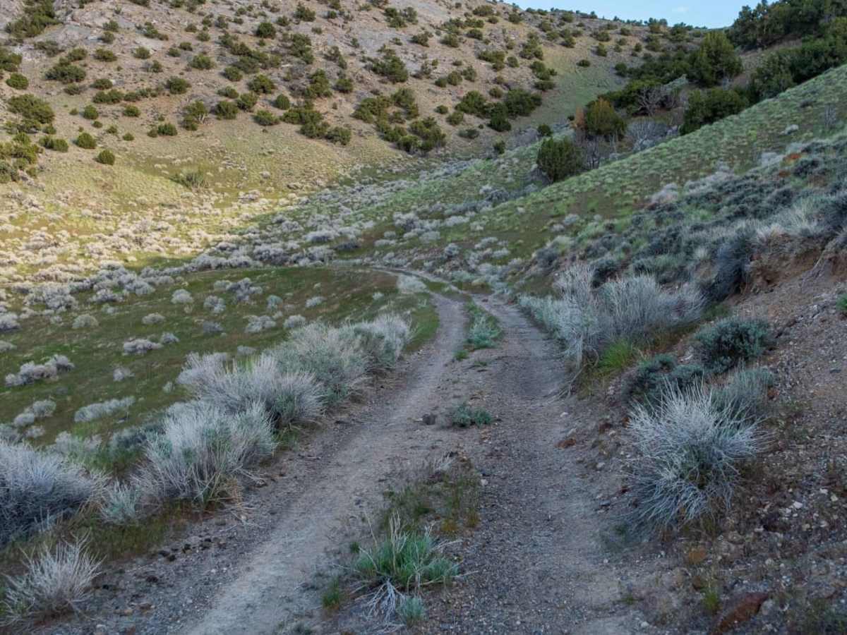 Silver Island Canyon photo 4
