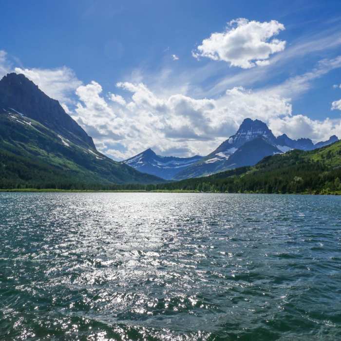 Near Swiftcurrent River Falls