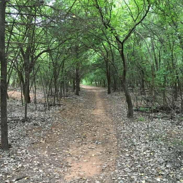 Near Arcadia Lake Trail