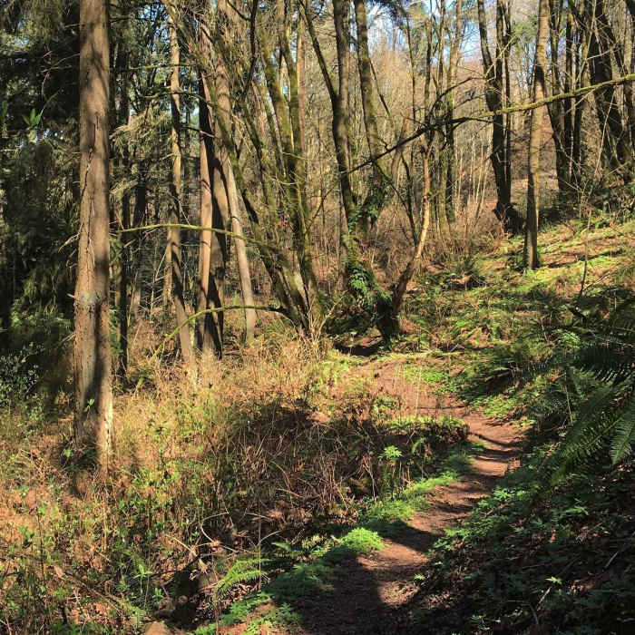 1/2 mile in Blythe Park. Beautiful trail! Near Tolt Pipeline Trail
