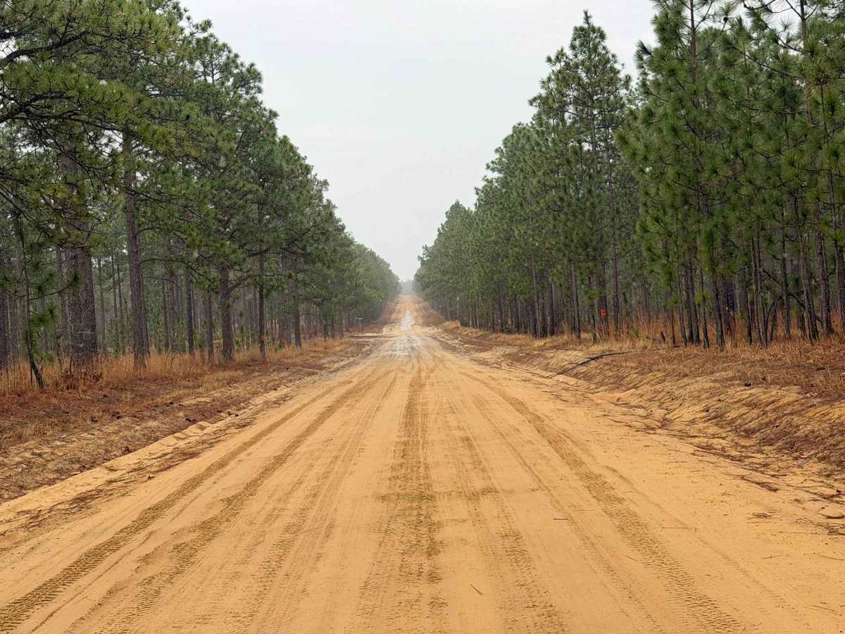 Hoffman Road photo 6