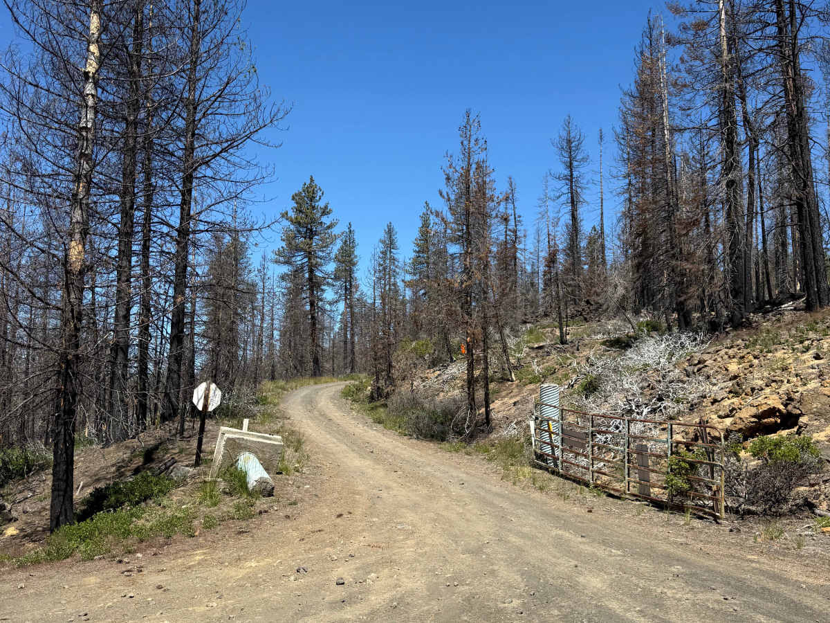 FS 4528 trail photo