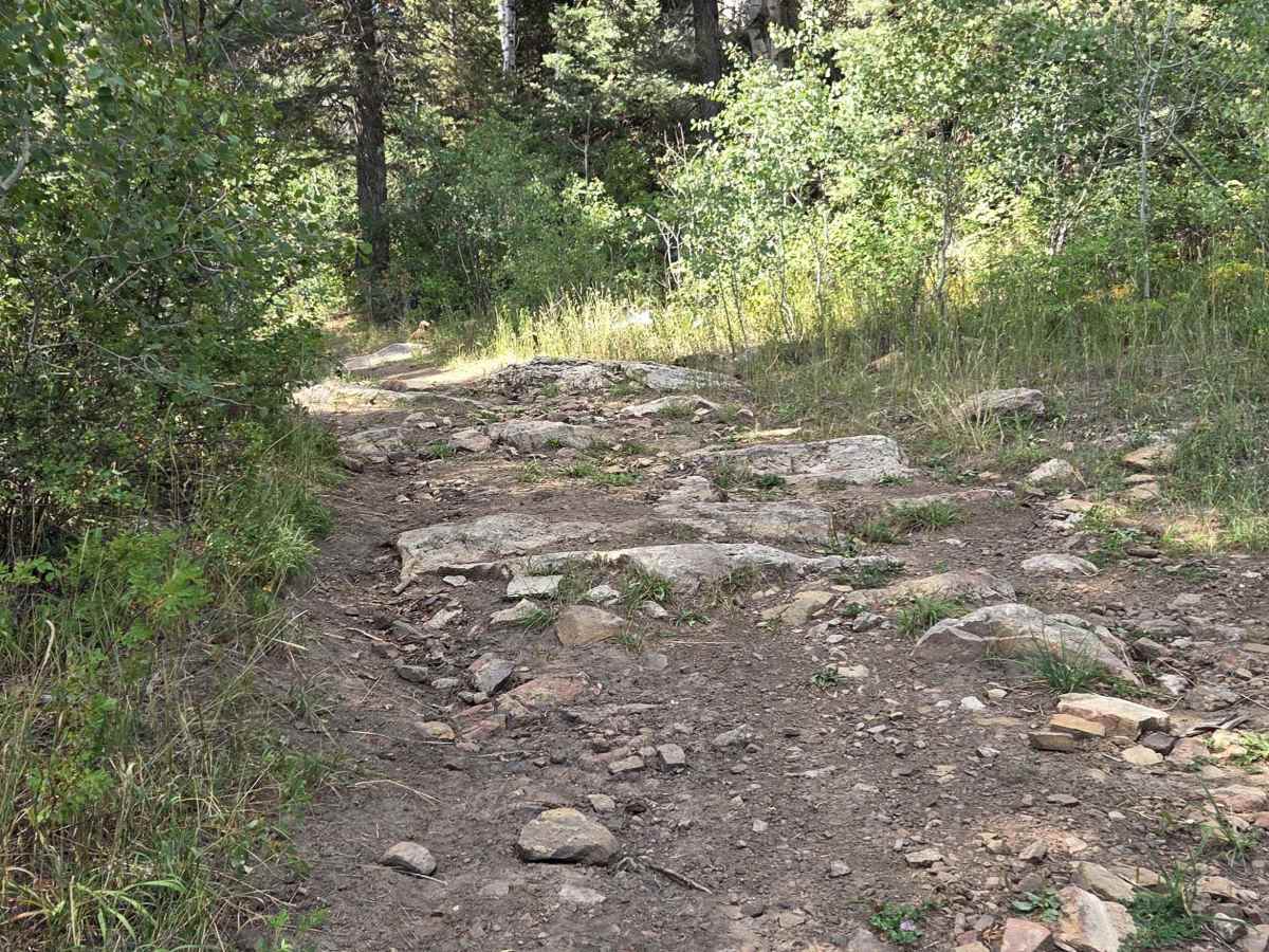 First Notch Road - FS 620 photo 3