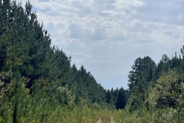 Long Ridge Road