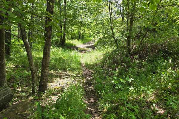 Single Track AC