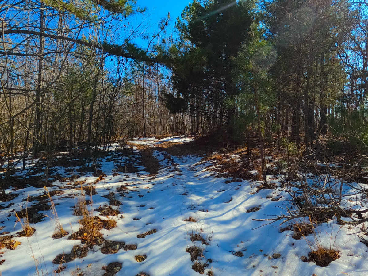 Buzzard Ridge Spur A - FS 2677A photo 5