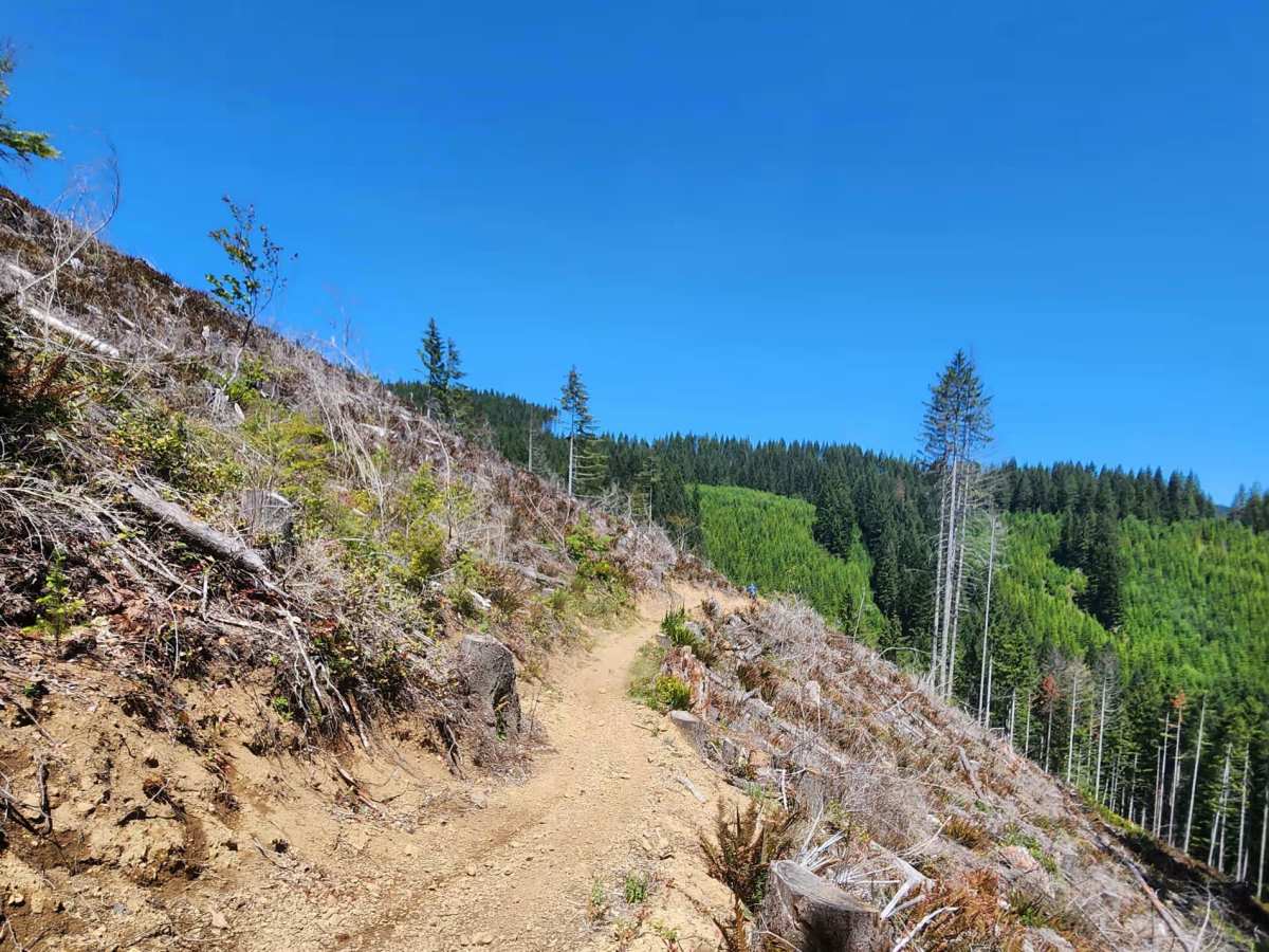 Slide photo 6