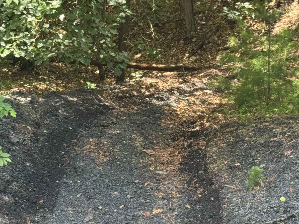 Trail 45 photo 6
