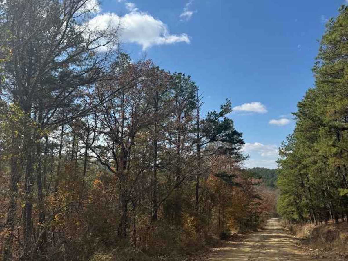 Jones Ranch Trail photo 4
