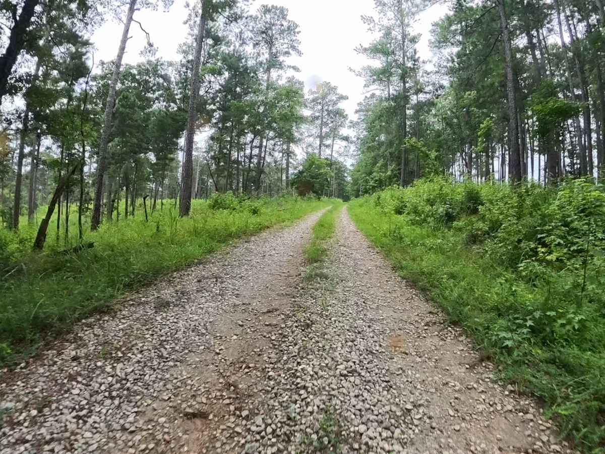 Lower Concord - FS 1017 photo 6