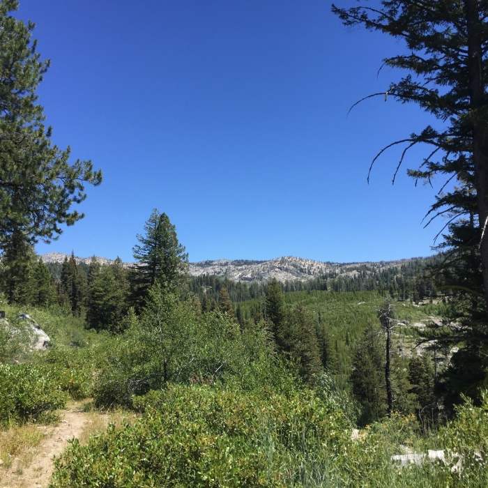 Near Blackwell Lake Loop