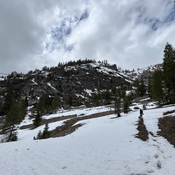 Near Granite Chief Trail