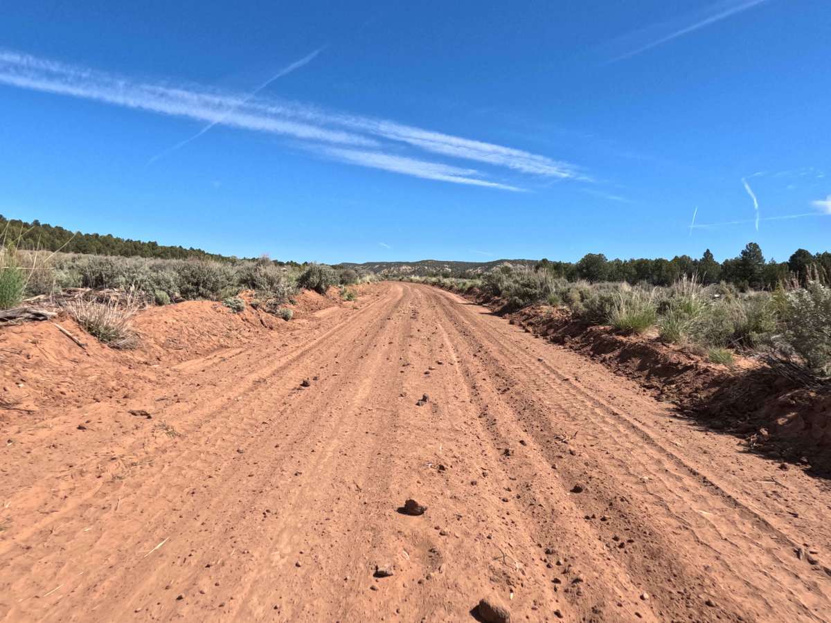 BLM 115 photo 4