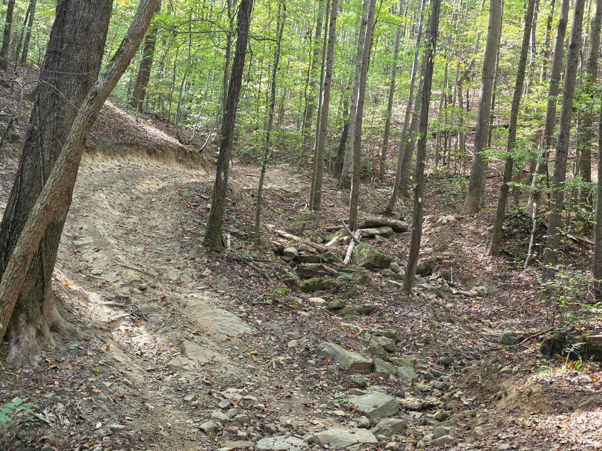 Hardwood Hollow photo 6