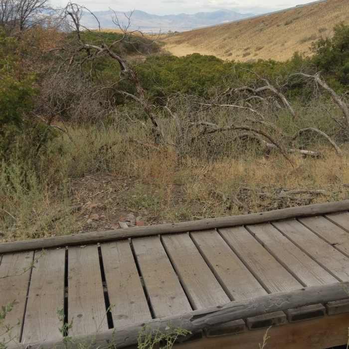 One of two small footbridges on Little Valley C Line trail Near Little Valley Overlook