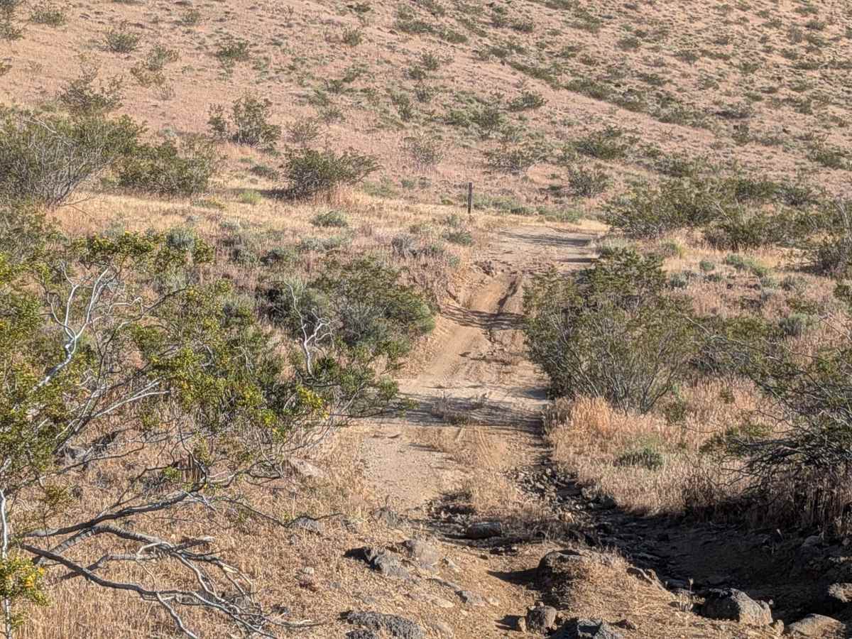 BLM EP499 photo 3