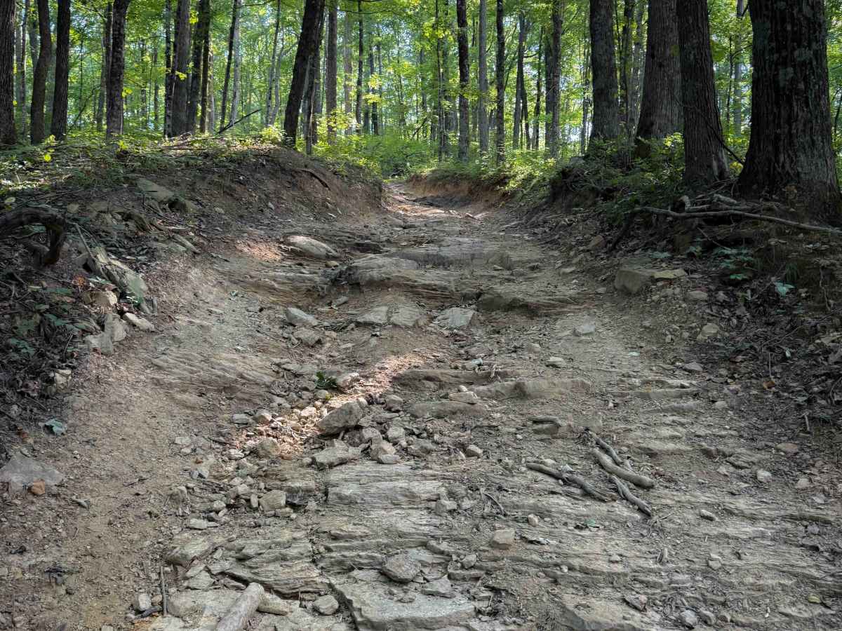 Round Mountain Trail trail photo