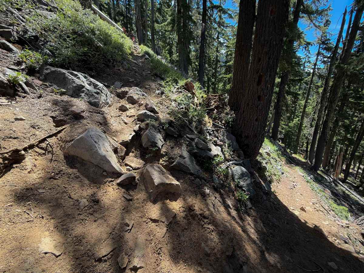 Sawtooth Trail  photo 5