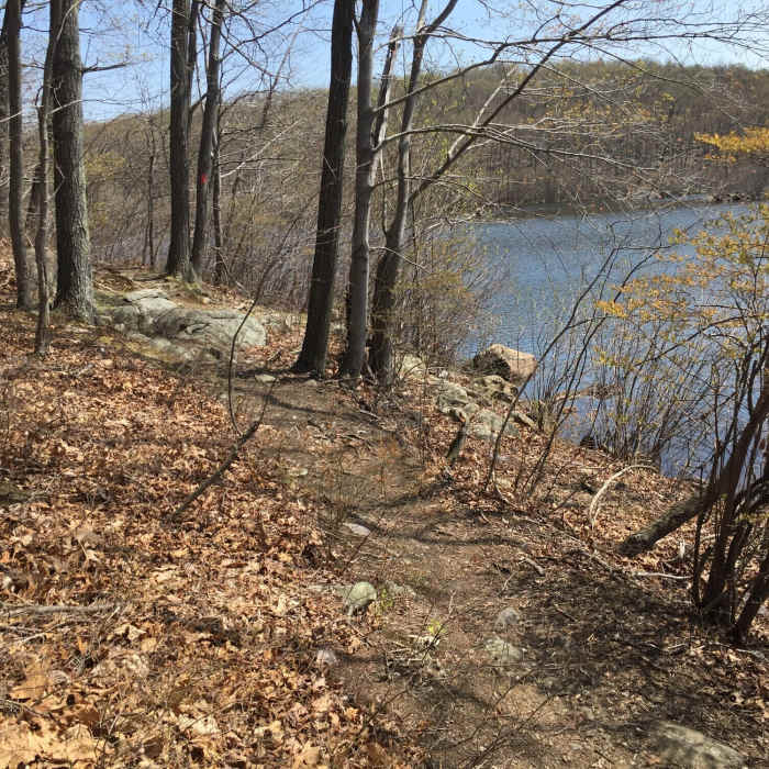 Red Trail - lake view Near Butler Reservoir Loop