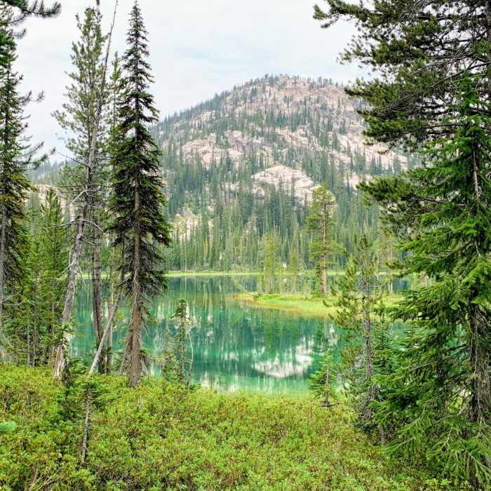 Near Mount Cramer Trail via Sand Mountain Pass