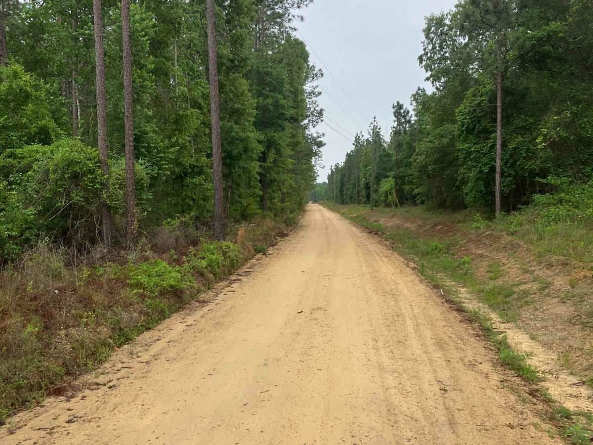 Camp Henderson Road photo 5
