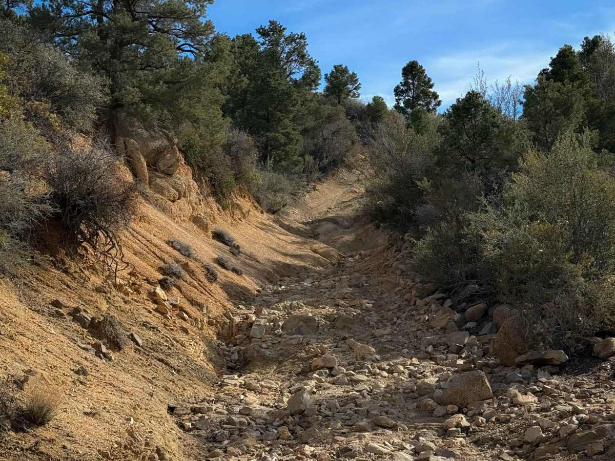 H1335/BLM 7127 photo 2